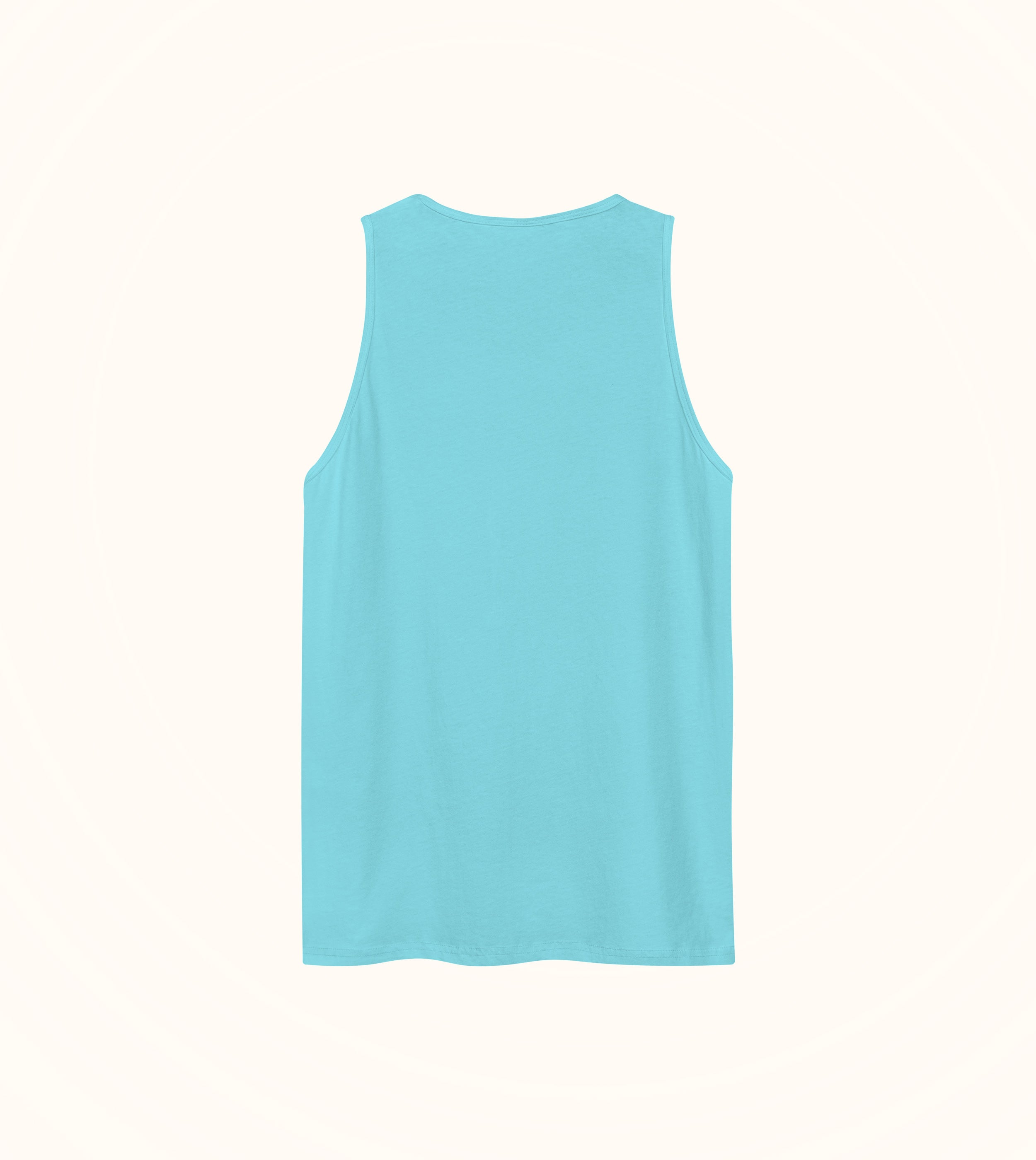 Birdflip® aqua embroidered tank