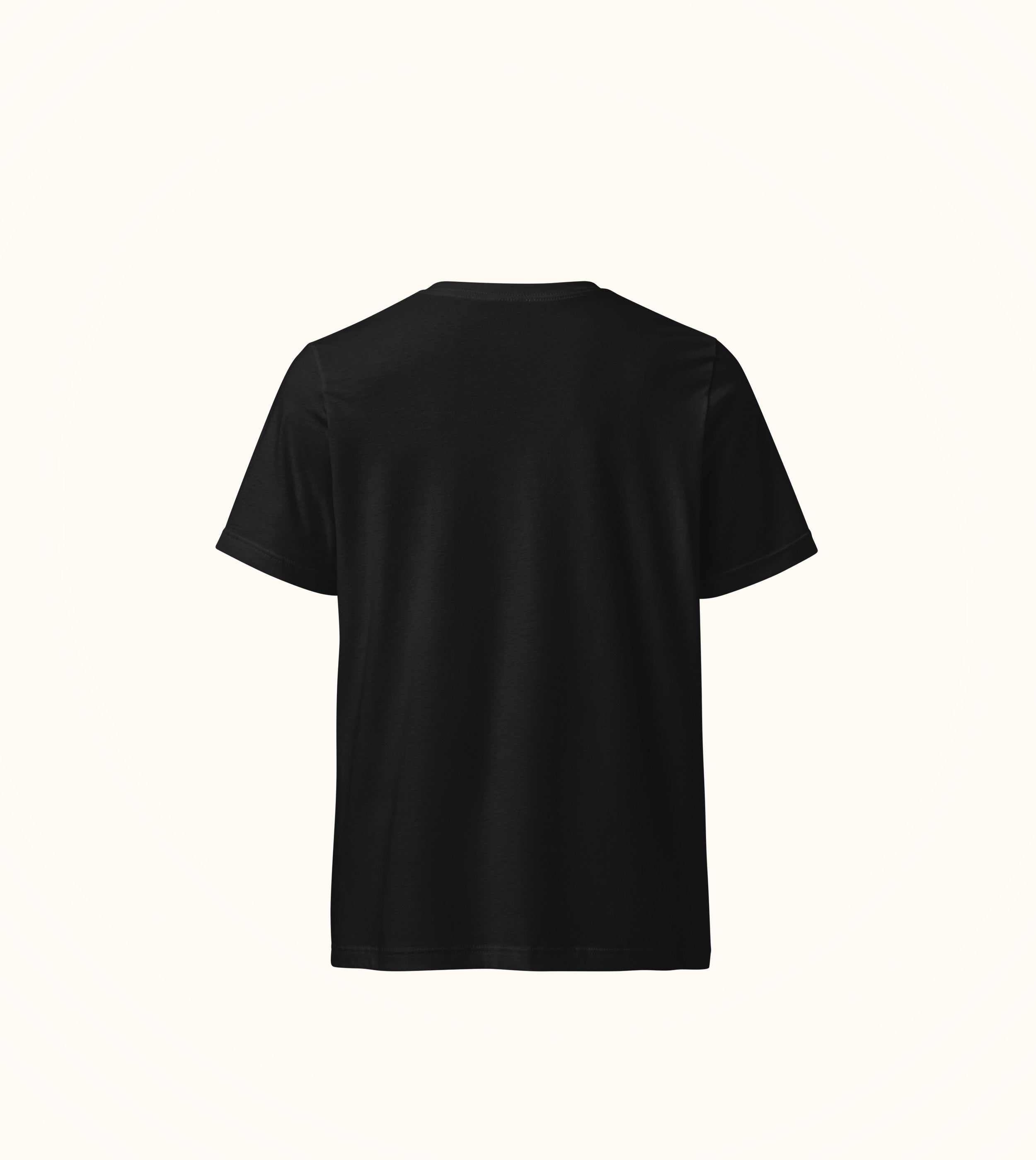 Birdflip v-neck tee